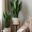 If you’re looking for a sign to add more plants… this is it.