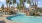 a pool with trees around it