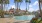 a pool with palm trees and a building in the background